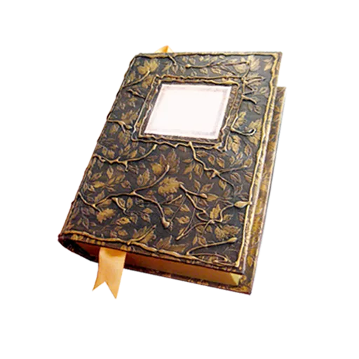 Nomad Reader icon